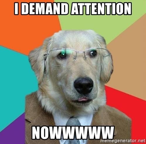 i-demand-attention-nowwwww